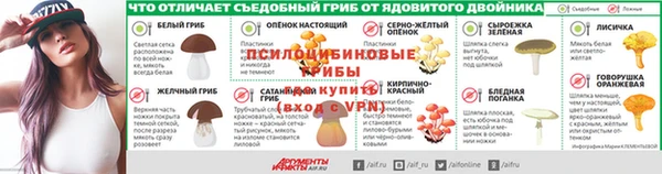 бошки Богородицк