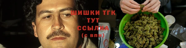 бошки Богородицк