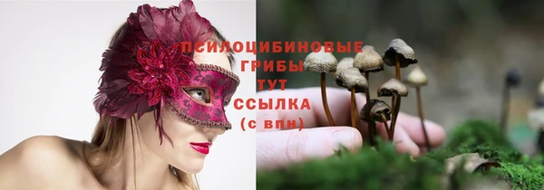 бошки Богородицк