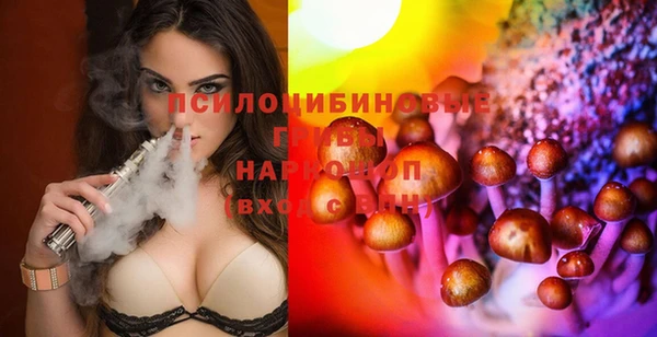 бошки Богородицк