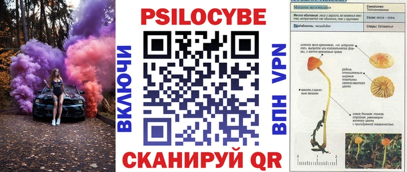 Галлюциногенные грибы мицелий  Верещагино 